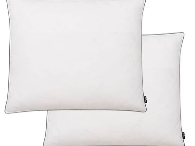 vidaXL sulgedest/udusulgedest rasked padjad, 2 tk, 70 x 60 cm, valge