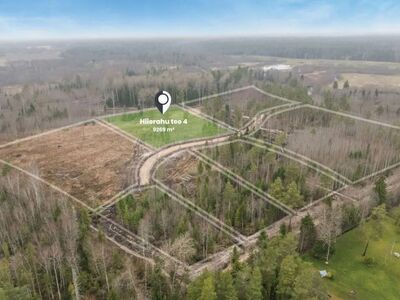 Hiierahu avarad metsakrundid linnakärast eemal