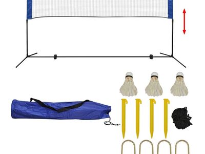 vidaXL sulgpallivõrk sulgpallidega 300 x 155 cm