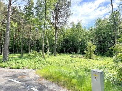 Kõrghaljastusega kinnistud mere läheduses