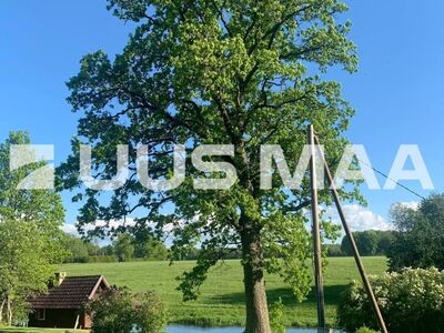 Jõeäärne elamukrunt veepiiril saunamajaga