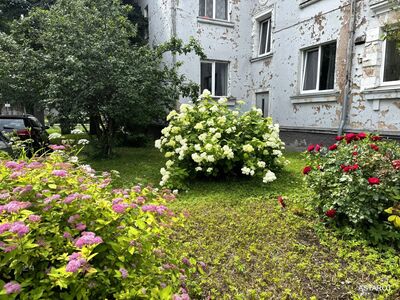 Hubane korter rahulikus piirkonnas !