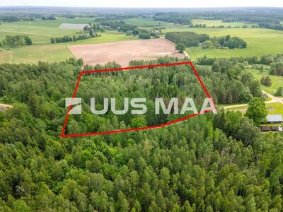 3,7 ha suurune hoonestamata kinnistu metsade vahel, hea ligipääs