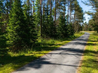 Ilus männimetsaga kinnistu kodu rajamiseks