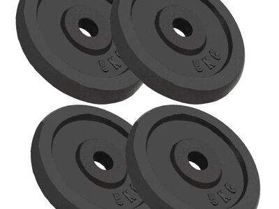 vidaXL kangi kettad, 4 tk, 4x5 kg, malm