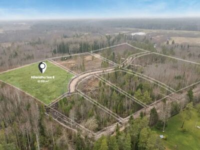 Hiierahu avarad metsakrundid linnakärast eemal