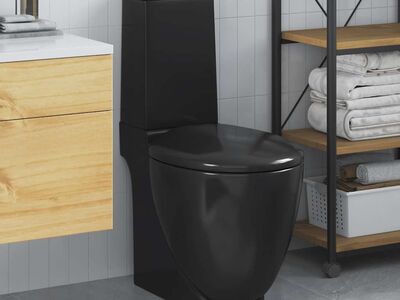 vidaXL keraamiline WC pott tagumise veevooluga, must