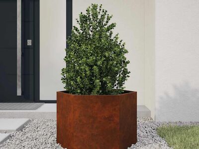 vidaXL taimekast, rooste, 60x60x45 cm, Corten teras