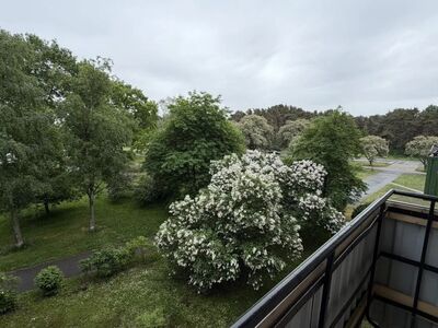 STROOMI RANNA LÄHEDAL-KORTER TEIE MAITSE JÄRGI