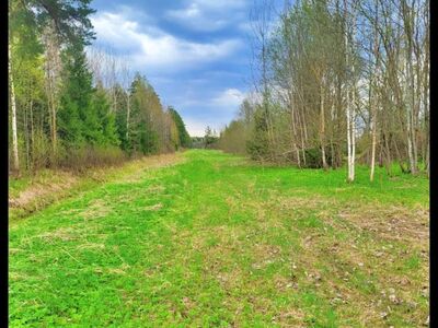Privaatne metsaäärne kinnistu Tartumaal - 1,02ha!