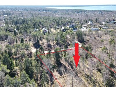 Privaatne kinnistu männi-kuusemetsaga