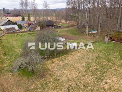 Looduslähedane kinnistu paisjärve ääres