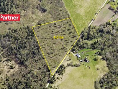 4.6 ha ligipääsuga maad Rapla linna lähedal!