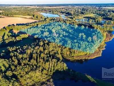 JÄRVEÄÄRNE KINNISTU ELEKTRILIITUMISE VÕIMALUSEGA!