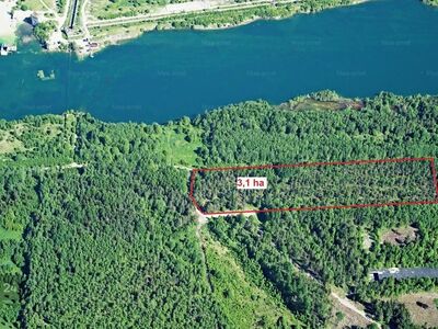 Kinnistu Rummu järve vahetus läheduses!
