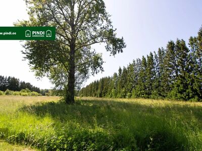Müüa suur, hoonestamata kinnistu Noarootsi poolsaarel