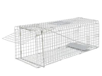 vidaXL tsingitud eluslõks 80 cm