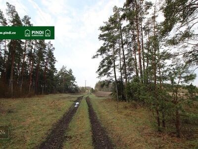 Tee oma pakkumine!