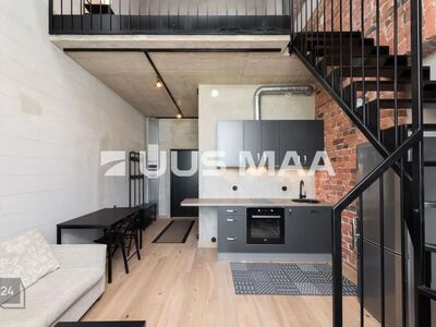 Unikaalne maja, stiilne loft-stiilis korter kahel tasapinnal!
