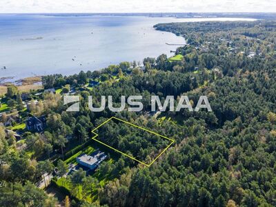 Mereäärne kõrghaljastusega kinnistu tupiktänava lõpus!