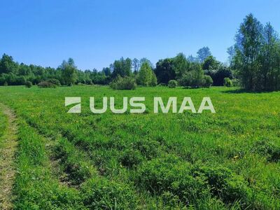 Kaks kinnistut ühes pakkumuses, nii metsa- kui rohumaa