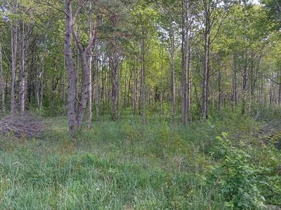 3 Privaatset kinnisstut linnalähedal.