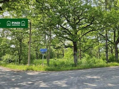 Kinnistu piirneb kahest küljest teega