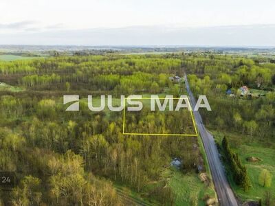 Looduslähedane 1,2 ha privaatne kinnistu