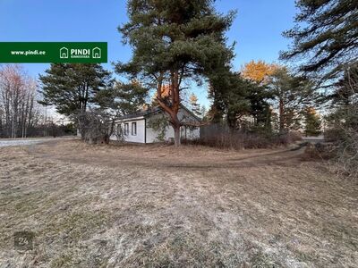 SUURE POTENTSIAALIGA KINNISTU PEIPSI JÄRVE LÄHEDAL!