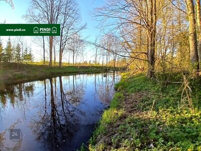 Jõeäärne kinnistu!