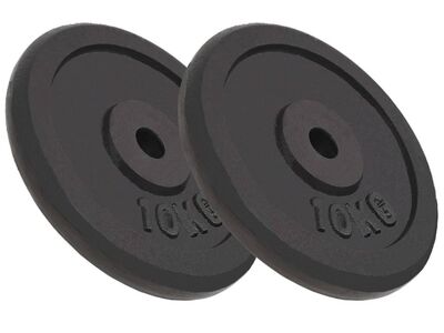 vidaXL kangi kettad, 2 tk, 2x10 kg, malm