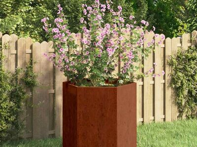 vidaXL taimekast, rooste, 40x40x45 cm, Corten teras