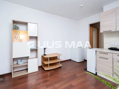 Uus pakkumine! Stuudiokorter vaatega rohelusse. Meri lähedal!