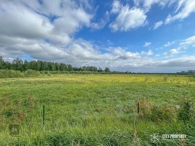 Müüa 24 801 m2 suurune kinnistu Valtu külas, Rapla vallas