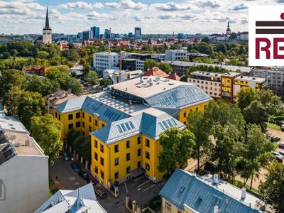 Uus algus teie ärile Loomemajas Niine 11