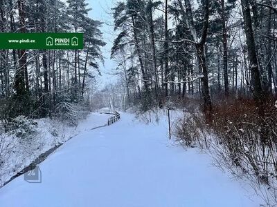 Rannaga piirnev elamumaa kinnistu Narva-Jõesuu linnas