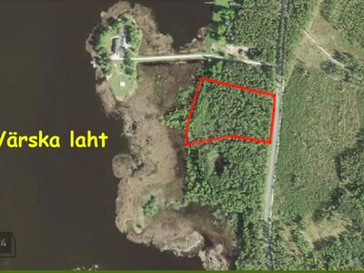 Imeilus männimets Pihkva järve kaldal.
