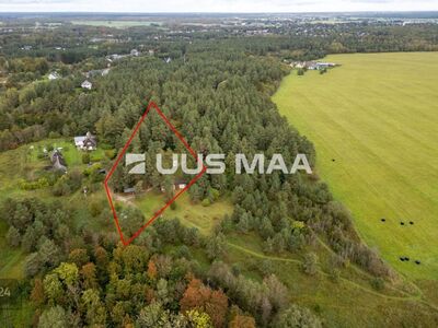 Ehitusõigusega suur (5332 m2) kinnistu!