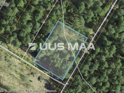 Mere lähedal suur elamukrunt Narva-Jõesuus
