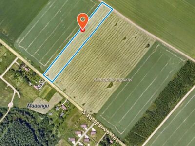 Müüa 1,7 ha kinnistu Saadjärve külas