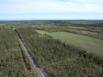 Männimetsaga maa! Võimalus osta 44113m² juurde