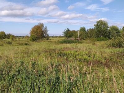 Müüa krunt Lagedil