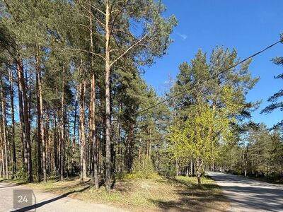 Koht elamiseks, kus iga päev on nagu puhkus