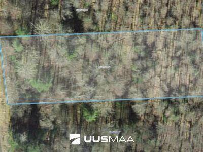 MÜÜA ELAMUMAA HÄÄDEMEESTE VALLAS, REIU KÜLAS, KUUSIKU TEE 9



– Väga avar kinnistu: 2170 m�