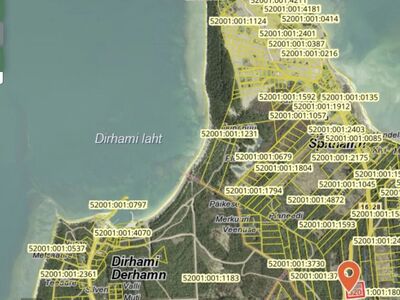Metsajärve kinnistu Spithamis