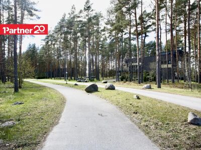 Metsahundi — ranniku varjatud pärl.