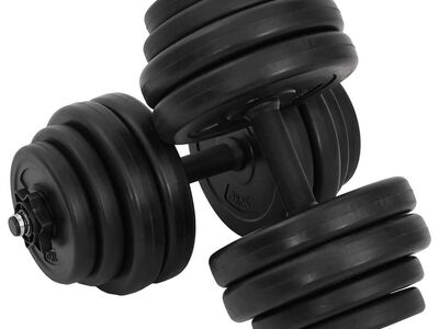 vidaXL hantlid 2 x 15 kg