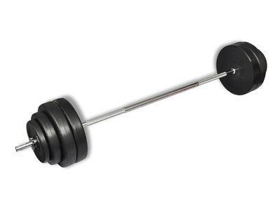 vidaXL kangi ja ketaste komplekt 60 kg