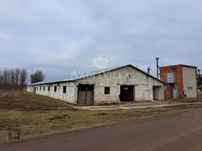 TOOTMIS-LAO HOONE TARTUST CA.15KM