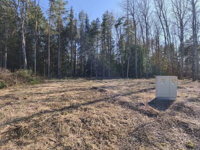 Liitumiste ja metsaga elamumaa kinnistu